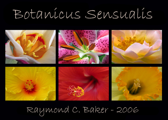 Botanicus Sensualis 2006